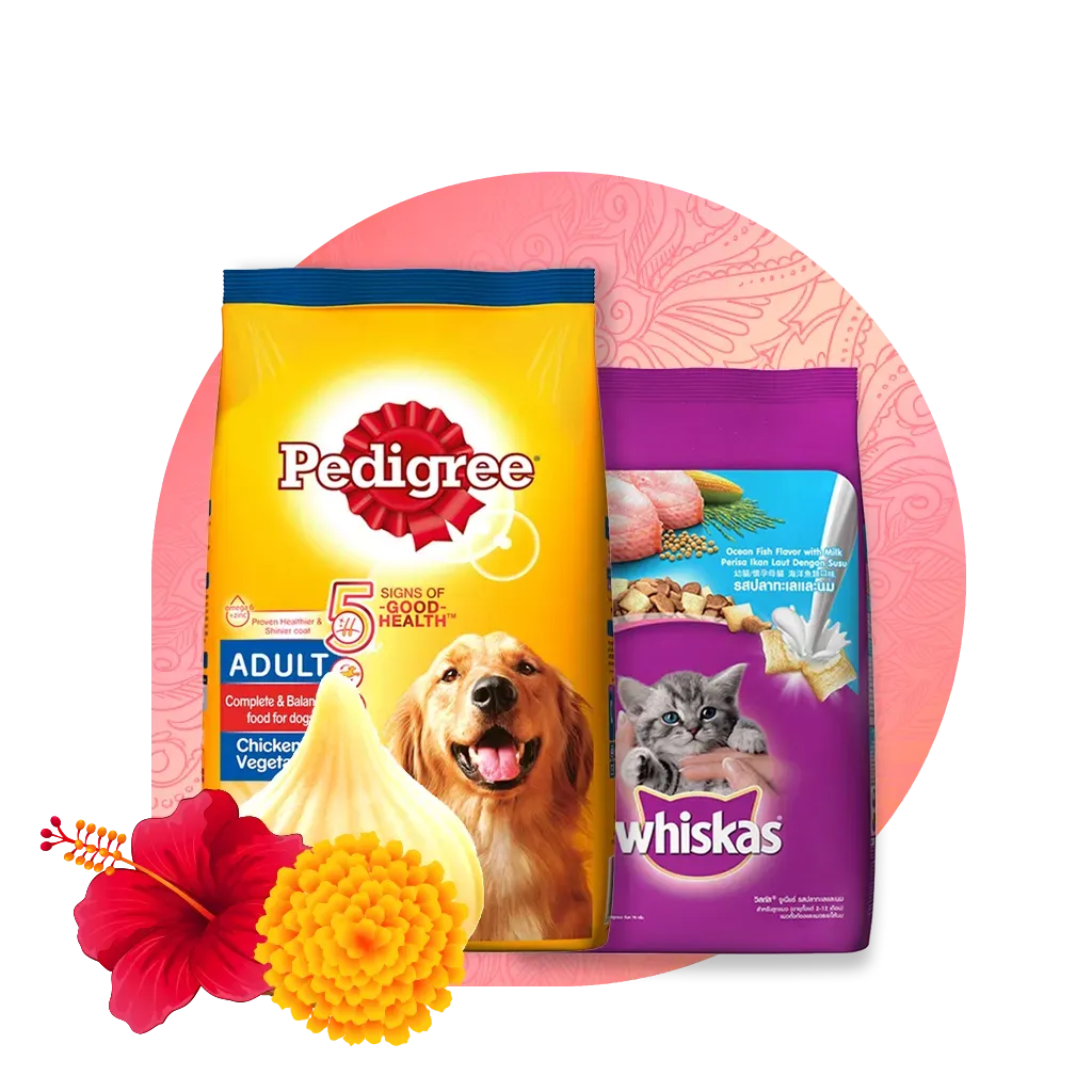 Order Groceries, Fruits & Vegetables and Medicines Products Online in